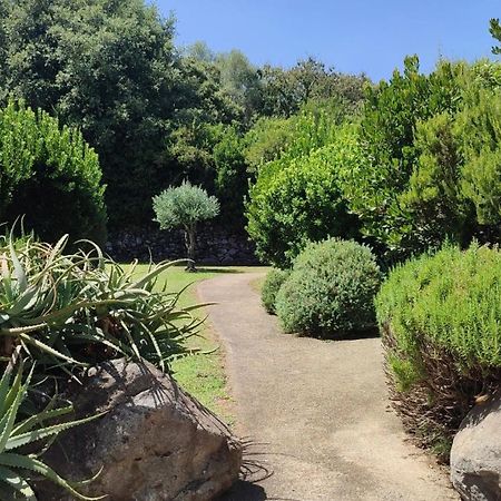 Villa Les Bergeries de Piazzagine à Pedi Quarciu Extérieur photo