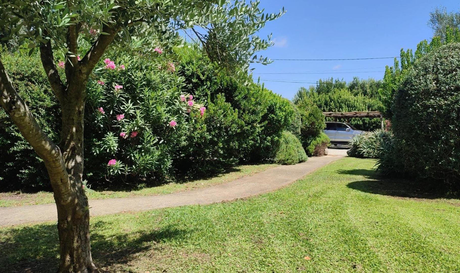 Villa Les Bergeries de Piazzagine à Pedi Quarciu Extérieur photo